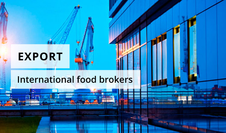 header_export_en_mobile